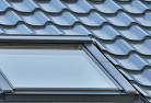 Trott Parkskylight-replacements.jpg; ?>